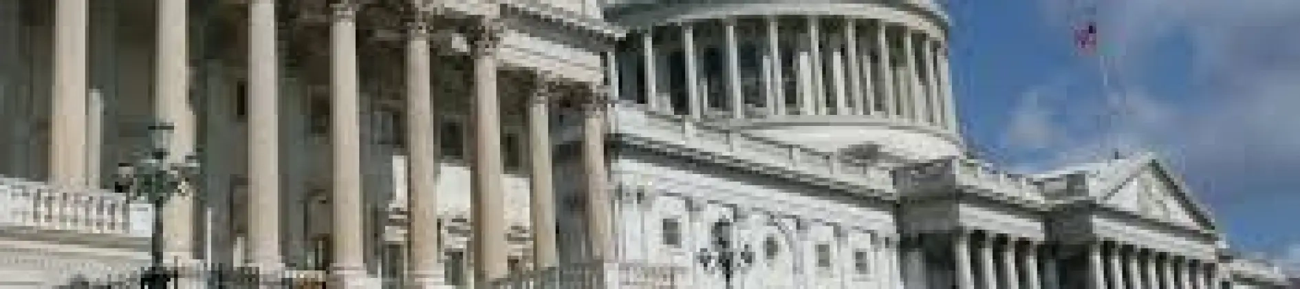 International Economic Policy, STEM Track, MA